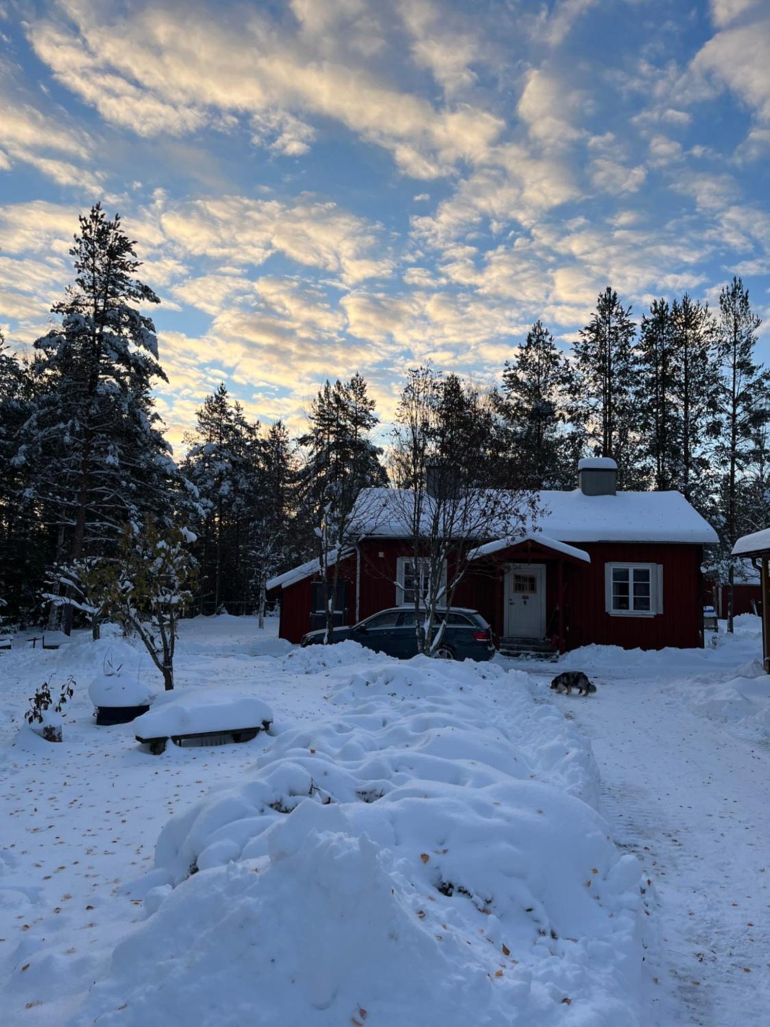 Nya Skogsgarden Hostel Marbacken Exterior photo
